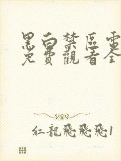 黑白禁区电视剧免费观看全集高清