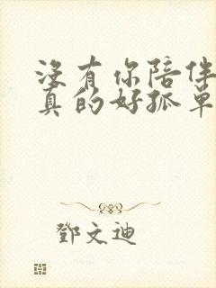 没有你陪伴,我真的好孤单