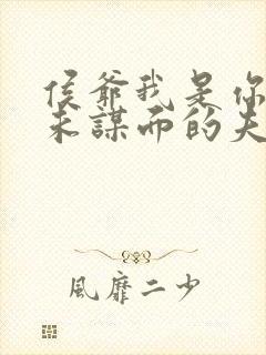 侯爷我是你那素未谋面的夫人