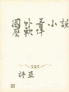 国外看小说用什么软件