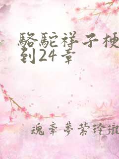 骆驼祥子梗概1到24章