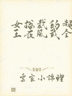 女总裁的超级兵王夜风武全文