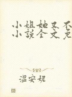 小姐她又不见了小说全文免费阅读