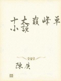 十大巅峰单女主小说