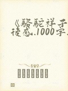 《骆驼祥子》读后感.1000字.
