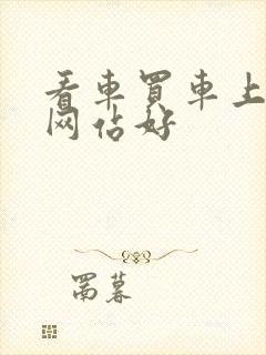 看车买车上什么网站好