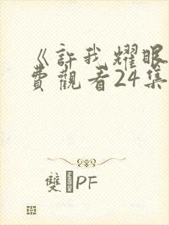 《许我耀眼》免费观看24集电视剧