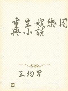 重生娱乐圈的经典小说