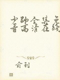 少帅全集免费观看高清在线观看