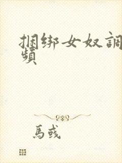 捆绑女奴调教视频