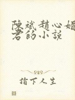 陈斌赵心媚高婉君的小说