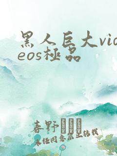 黑人巨大videos极品
