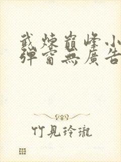 武炼巅峰小说无弹窗无广告