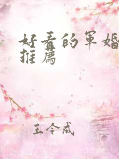 好看的军婚小说推荐