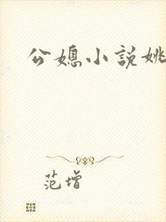 公媳小说姚瑶