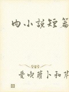 肉小说短篇辣文