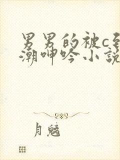 男男的被c到高潮呻吟小说