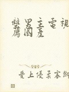 双男主电视剧推荐国产