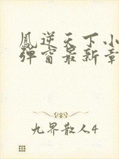 凤逆天下小说无弹窗最新章节