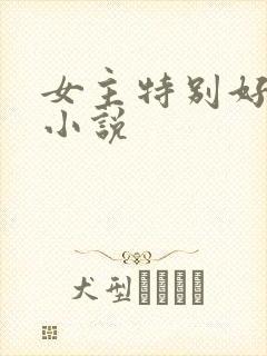 女主特别好看的小说