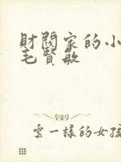 财阀家的小儿子毛贤敏