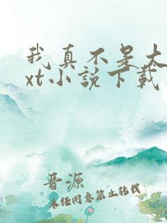 我真不是大佬txt小说下载