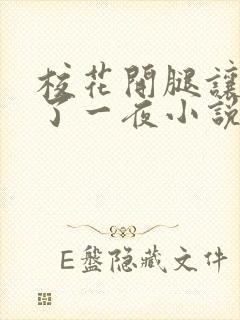 校花开腿让我爽了一夜小说