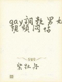gay调教男奴视频网站
