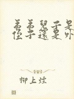 弟弟儿子是我的侄子还是外甥