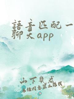 语音匹配一对一聊天app