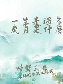 一生走过多少的岁月是什么歌