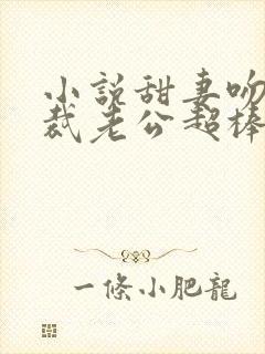 小说甜妻吻安总裁老公超棒的