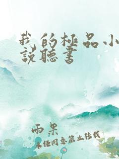 我的极品小姨小说听书