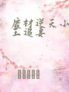 废材逆天小姐邪王追妻