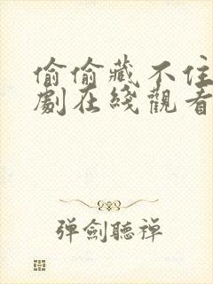 偷偷藏不住电视剧在线观看免费版