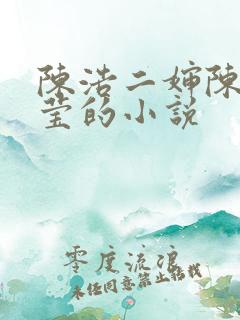 陈浩二婶陈丽陈莹的小说