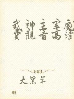 武神主宰剧版免费观看高清完整版