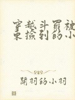 穿越斗罗被比比东捡到的小说