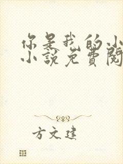 你是我的小确幸小说免费阅读全文