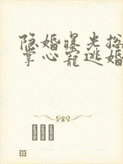 隐婚曝光总裁的掌心宠逃婚了贺聿舟无删减