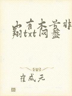 山有木兮非天夜翔txt网盘