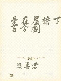 爱在屋檐下泰剧百合剧