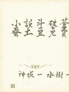 小说斗破苍穹天蚕土豆免费阅读