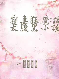 宠妻狂魔:总裁太腹黑小说