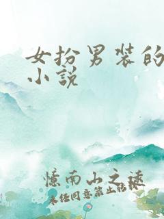 女扮男装的穿越小说