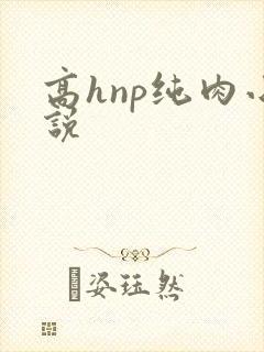 高hnp纯肉小说