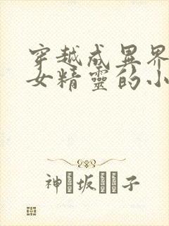 穿越成异界唯一女精灵的小说