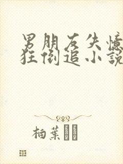 男朋友失忆后疯狂倒追小说全文免费