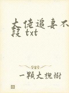 大佬追妻不择手段 txt