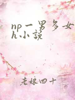 np一男多女高h小说